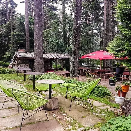 Hija Popovi Livadi Lodge *